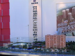 天府之國(guó)，家園新篇——四川房地產(chǎn)名優(yōu)特新產(chǎn)品展示會(huì)側(cè)影