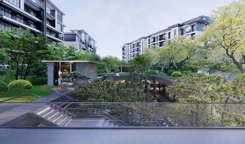 四川資本入局洛陽樓市，“領(lǐng)投雁”能否引領(lǐng)新格局？